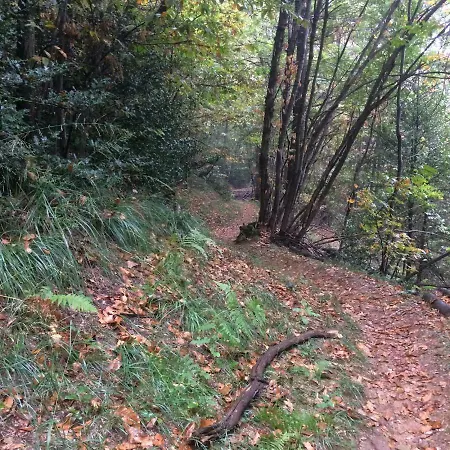 Rifugio Nel Bosco Casa vacanze